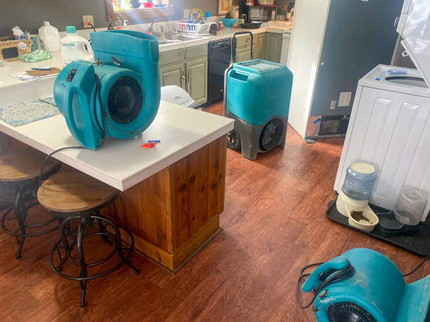 Best Water damage contractors near me  in Greenfield, WI