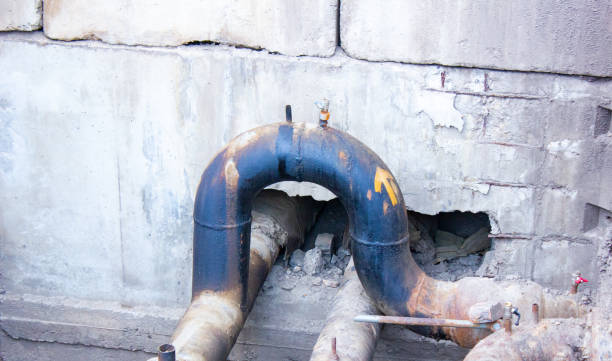Best Professional water damage repair  in Greenfield, WI