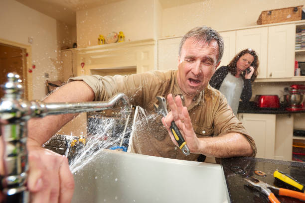 Best Mold removal after water damage  in Greenfield, WI